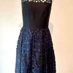 Muse Black and Navy Lace Detail Dress